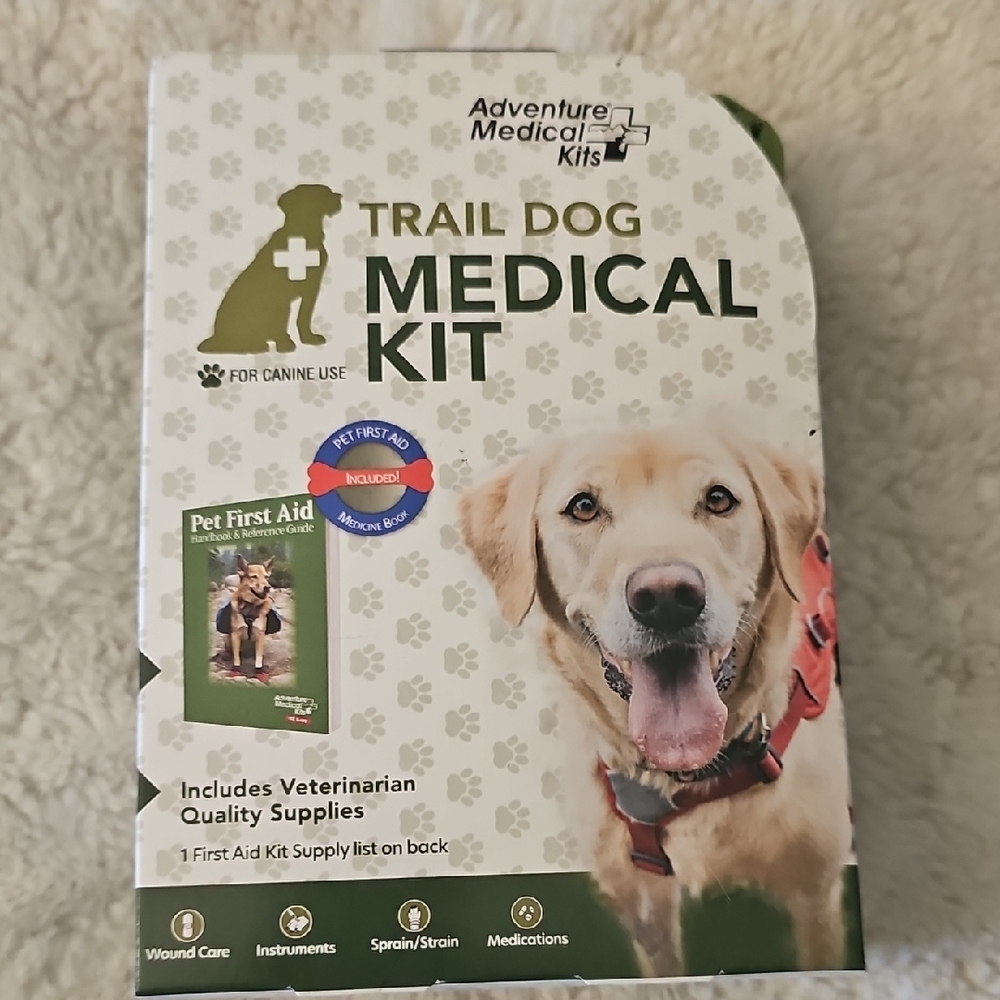 Green Labrador Retriever with Friendly Expression